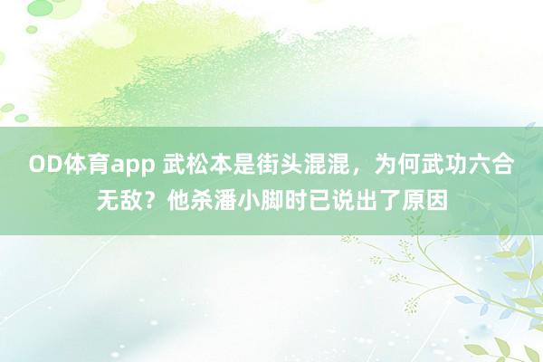 OD体育app 武松本是街头混混，为何武功六合无敌？他杀潘小脚时已说出了原因