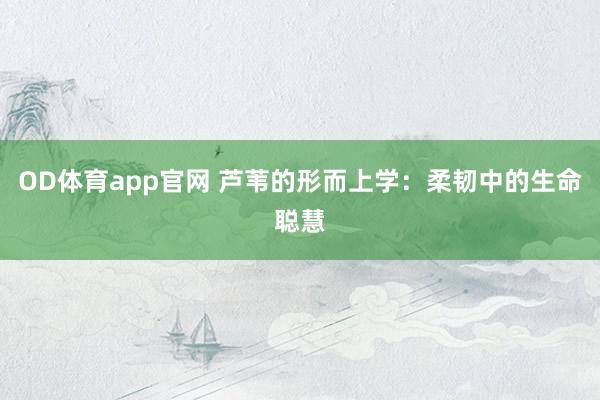 OD体育app官网 芦苇的形而上学：柔韧中的生命聪慧
