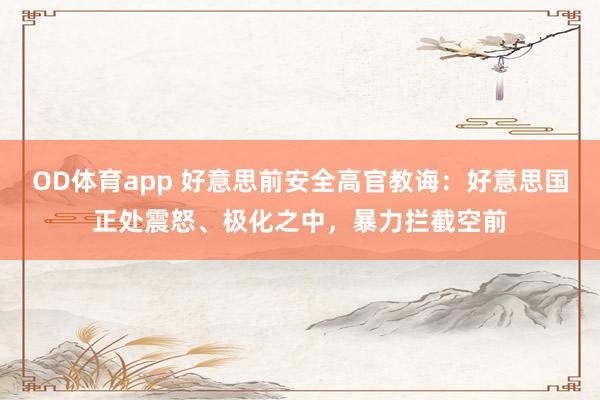 OD体育app 好意思前安全高官教诲：好意思国正处震怒、极化之中，暴力拦截空前