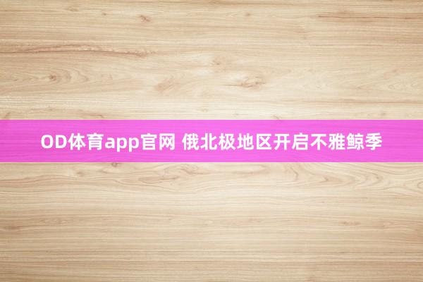 OD体育app官网 俄北极地区开启不雅鲸季