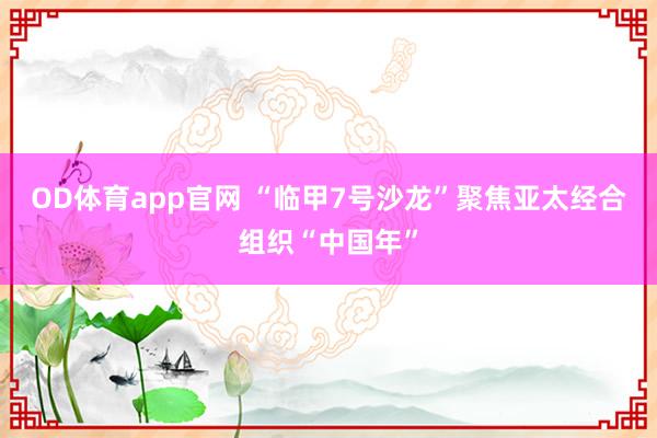 OD体育app官网 “临甲7号沙龙”聚焦亚太经合组织“中国年”