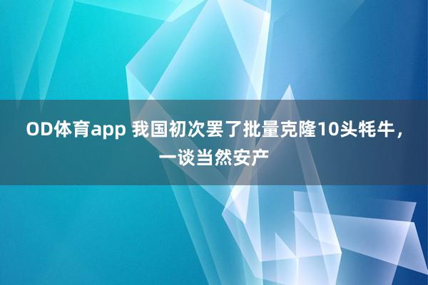 OD体育app 我国初次罢了批量克隆10头牦牛，一谈当然安产