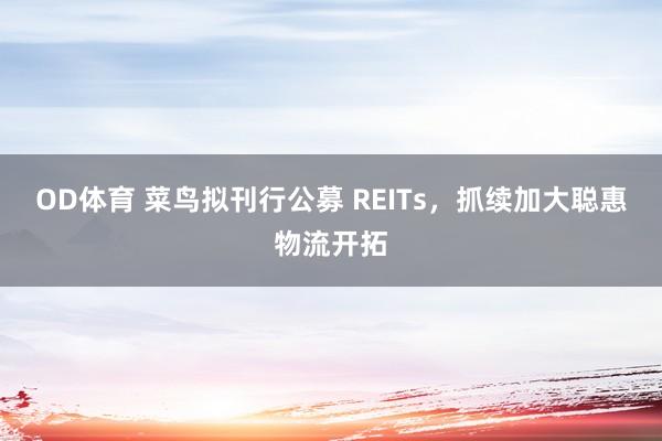 OD体育 菜鸟拟刊行公募 REITs，抓续加大聪惠物流开拓