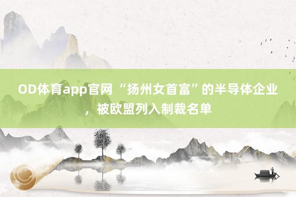 OD体育app官网 “扬州女首富”的半导体企业，被欧盟列入制裁名单