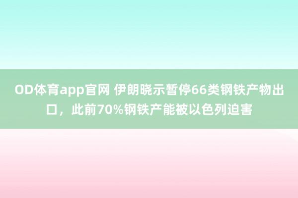 OD体育app官网 伊朗晓示暂停66类钢铁产物出口，此前70%钢铁产能被以色列迫害