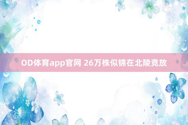OD体育app官网 26万株似锦在北陵竞放