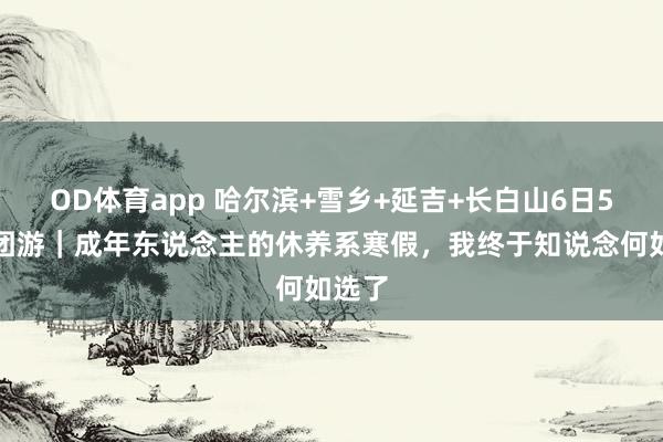 OD体育app 哈尔滨+雪乡+延吉+长白山6日5晚跟团游｜成年东说念主的休养系寒假，我终于知说念何如选了