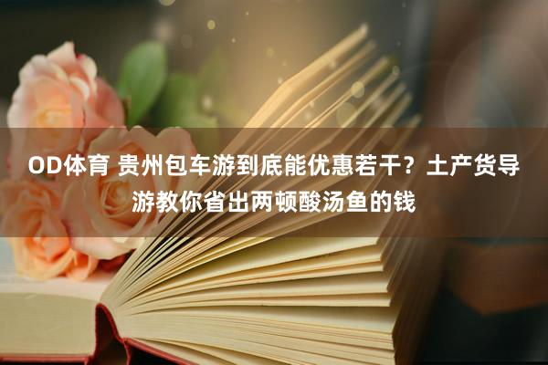 OD体育 贵州包车游到底能优惠若干？土产货导游教你省出两顿酸汤鱼的钱