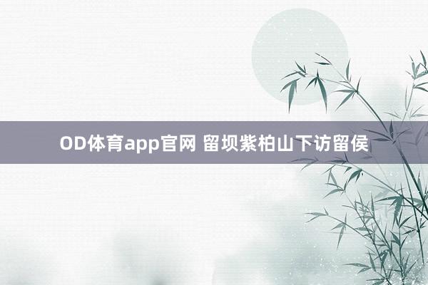 OD体育app官网 留坝紫柏山下访留侯