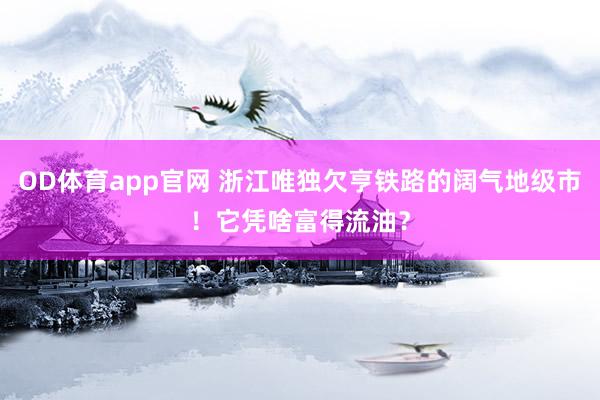 OD体育app官网 浙江唯独欠亨铁路的阔气地级市！它凭啥富得流油？