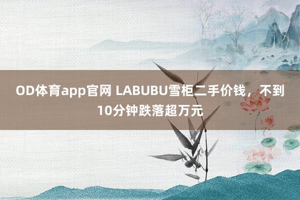 OD体育app官网 LABUBU雪柜二手价钱，不到10分钟跌落超万元