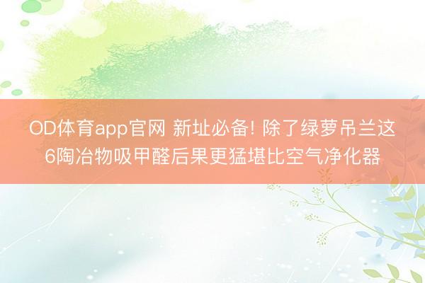 OD体育app官网 新址必备! 除了绿萝吊兰这6陶冶物吸甲醛后果更猛堪比空气净化器