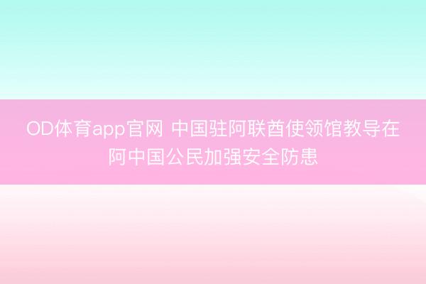 OD体育app官网 中国驻阿联酋使领馆教导在阿中国公民加强安